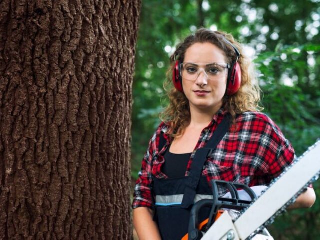 Expert Arborist Services in Carlingford