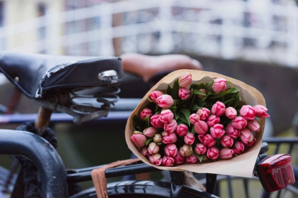 Kurraba Point Florist: A Local Guide to Buying Flowers