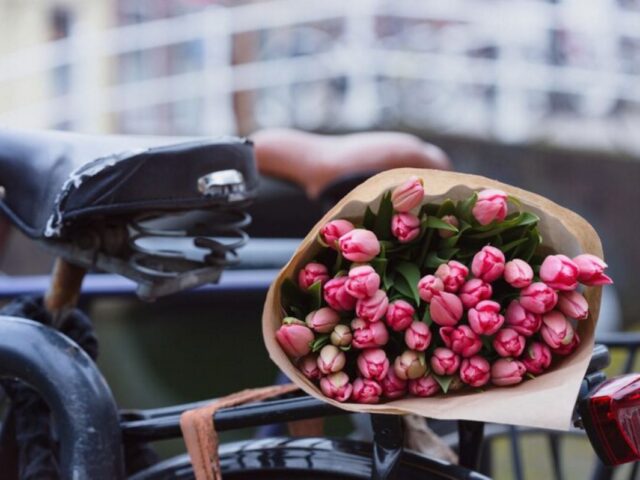 Kurraba Point Florist: A Local Guide to Buying Flowers