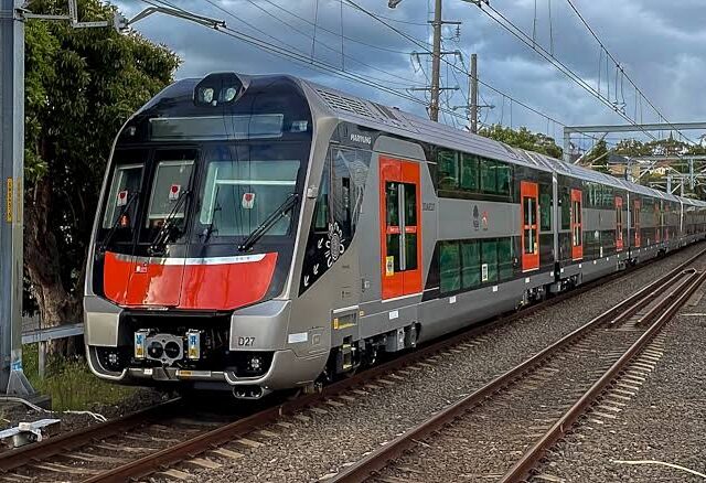 Flower Train North Sydney: What Commuters Are Actually Looking For