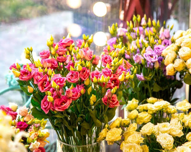 Flower Train North Sydney: What Commuters Are Actually Looking For

